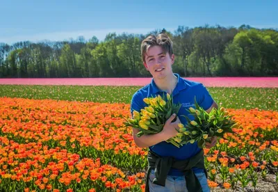 Flowers realm